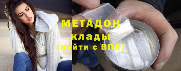 прущие грибы Абдулино