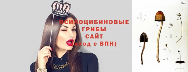 трава Абинск