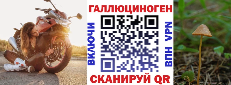 Псилоцибиновые грибы Psilocybe как найти OMG рабочий сайт Тавда