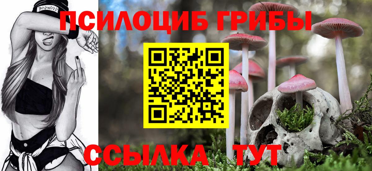 Бошки Шишки Тавда