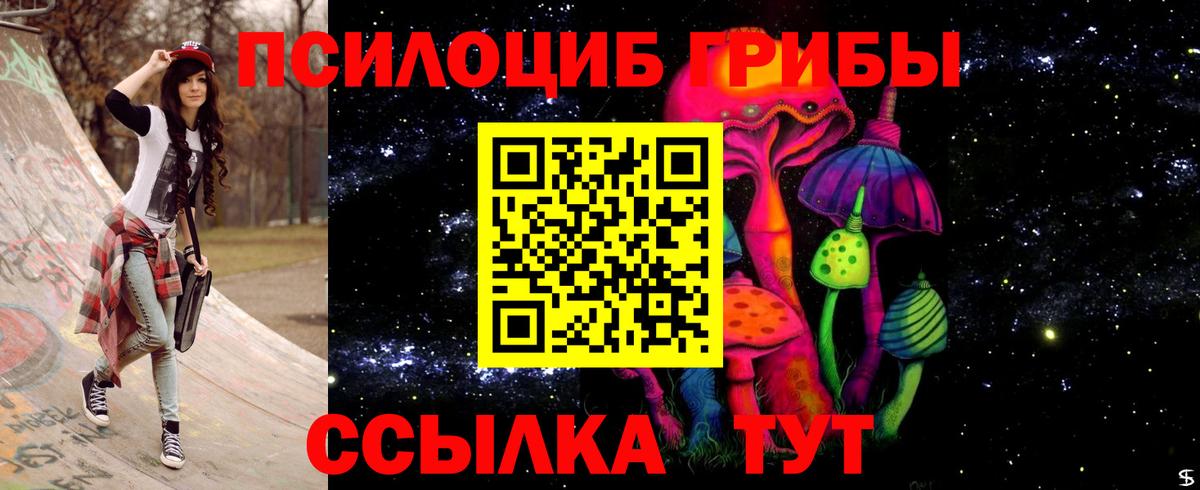 Галлюциногенные грибы ЛСД  как найти закладки  Тавда  Псилоцибиновые грибы Cubensis  Вход с VPN 