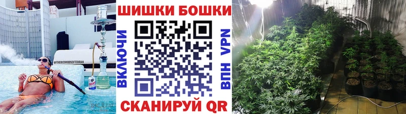 Конопля семена  продажа наркотиков  Тавда 